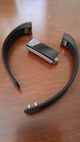 Module and sport band